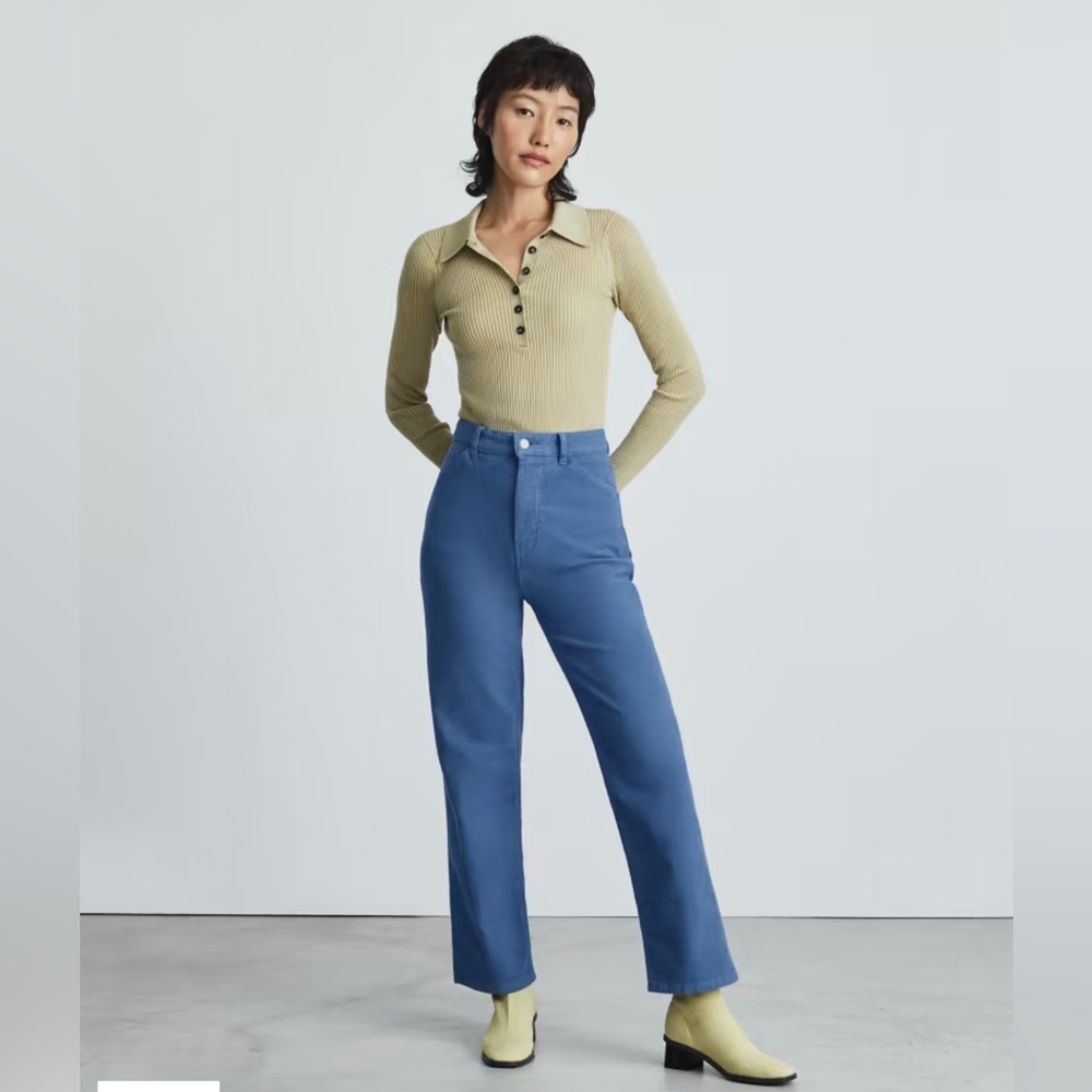 Everlane Moleskin blue pant.. Small white mark as described at bottom photo..